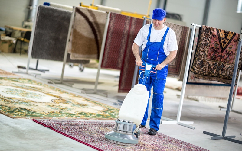 Professional Carpet Cleaning Services