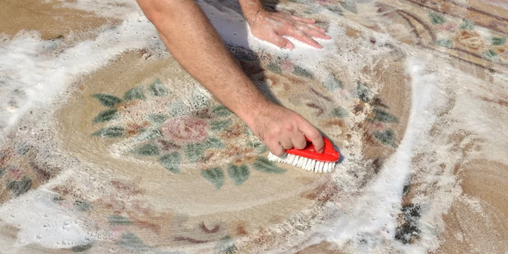Carpet cleaning services