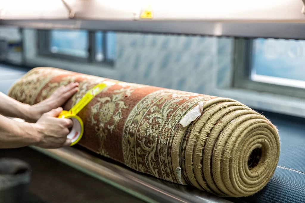 Professional carpet cleaning 